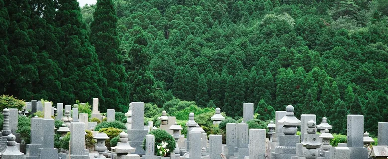 杉の森を背にした墓地に墓石が並ぶ遠景